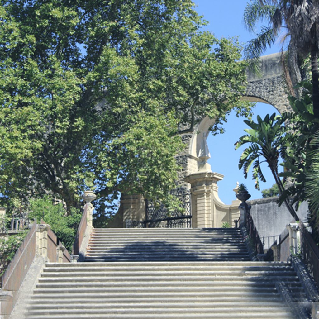 stairs in the botanical garden of the university of coimbra